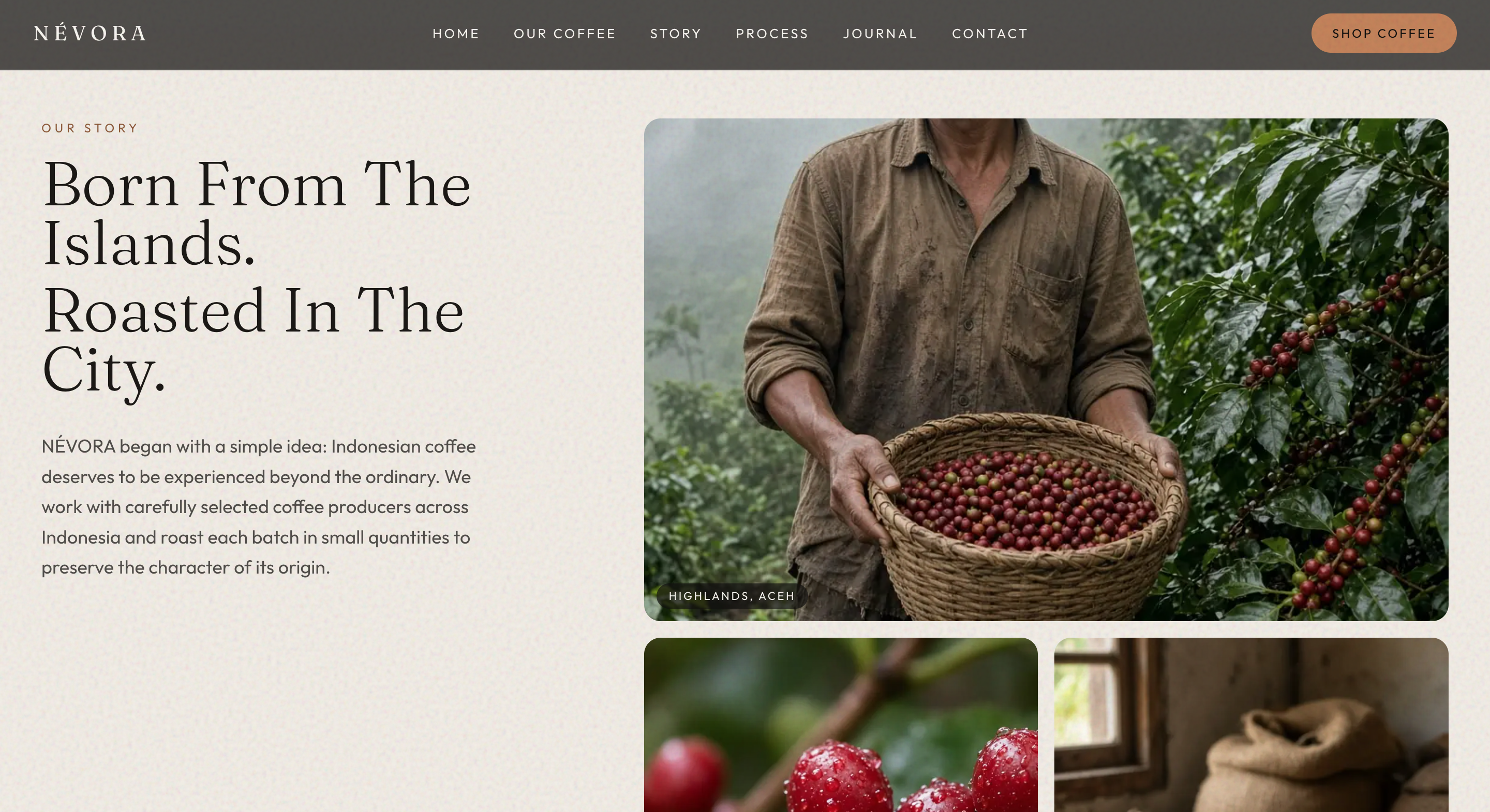 NÉVORA – Premium Specialty Coffee Brand Website